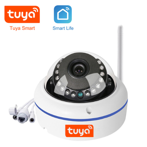 Cargue la imagen en el visor de la galería, [TUYA Smart Home] 4MP FHD Wireless WIFI Dome Security Camera With Explosion-Proof Glass
