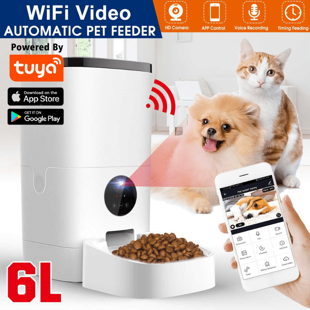 pet camera and feeder